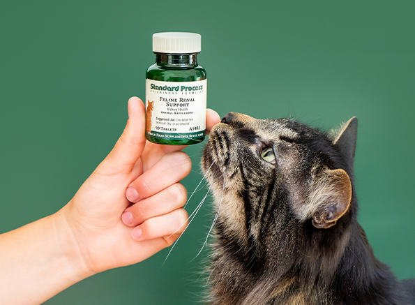 canine feline whole body support veterinary gold standard