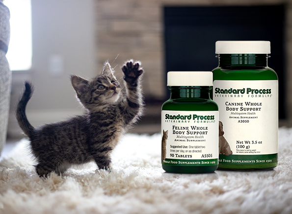 canine feline whole body support veterinary gold standard
