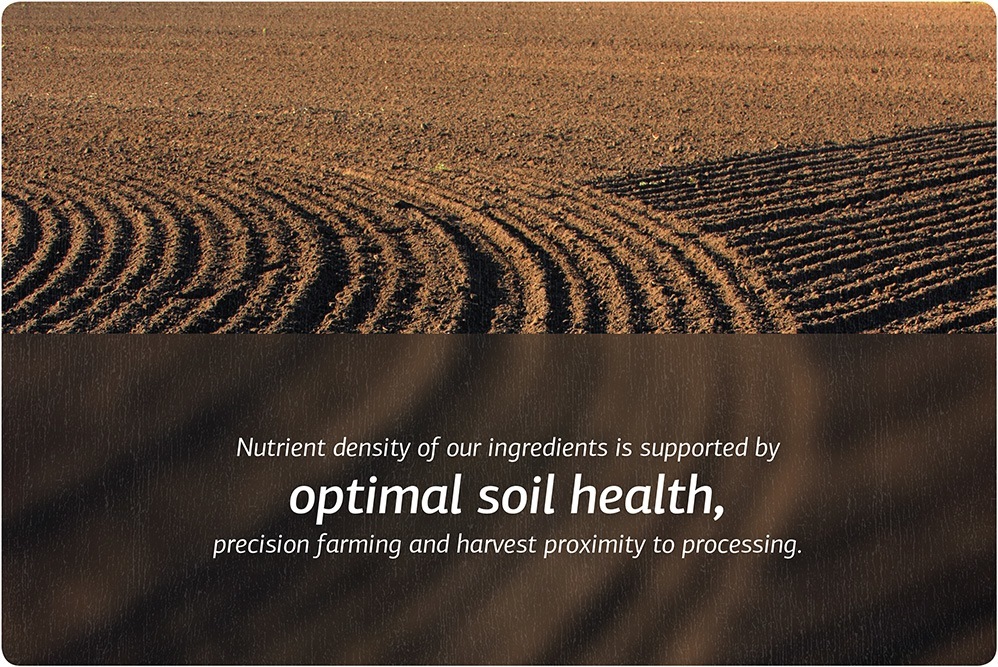Nutrient density of our ingredients is supported by optimal soil health, precision farming and harvest proximity to processing.