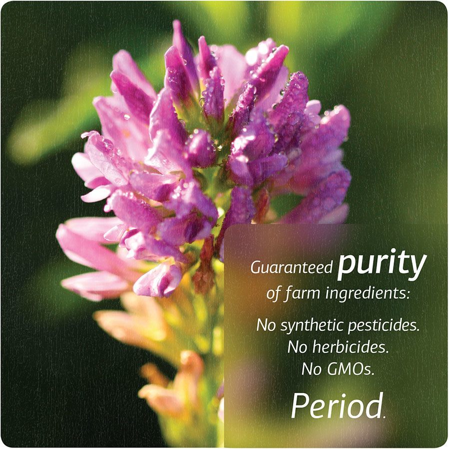 Guaranteed purity of farm ingredients: No synthetic pesticides. No herbicides. No GMOs. Period.