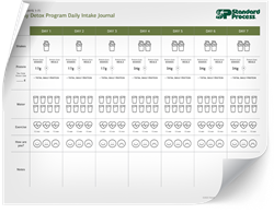 LN05206-Detox-28-Day-Daily-Intake-Journal-Thumbnail.png