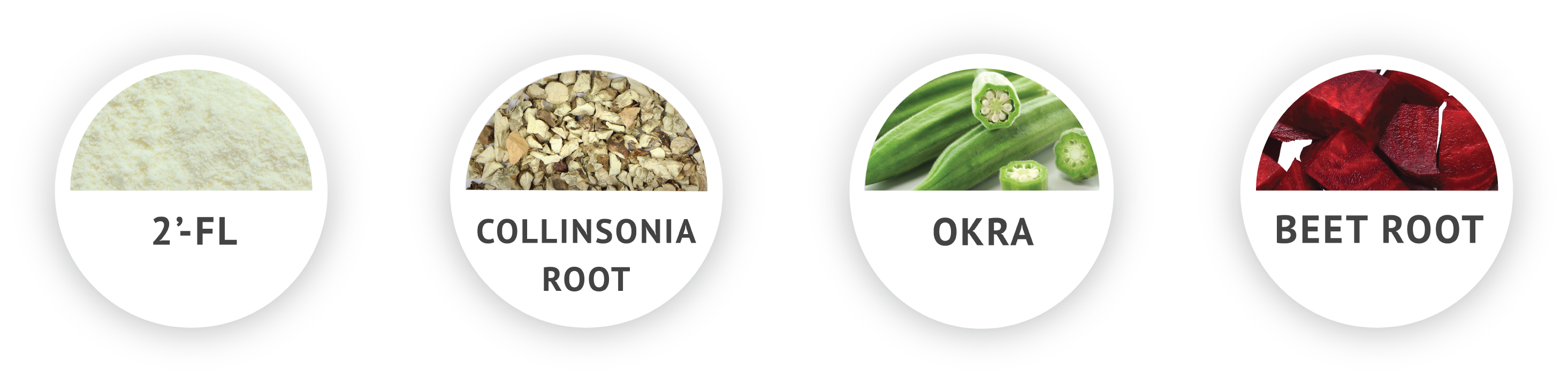 GI Stability Supplement Ingredients