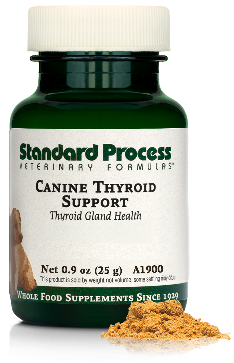 Canine Thyroid Support
