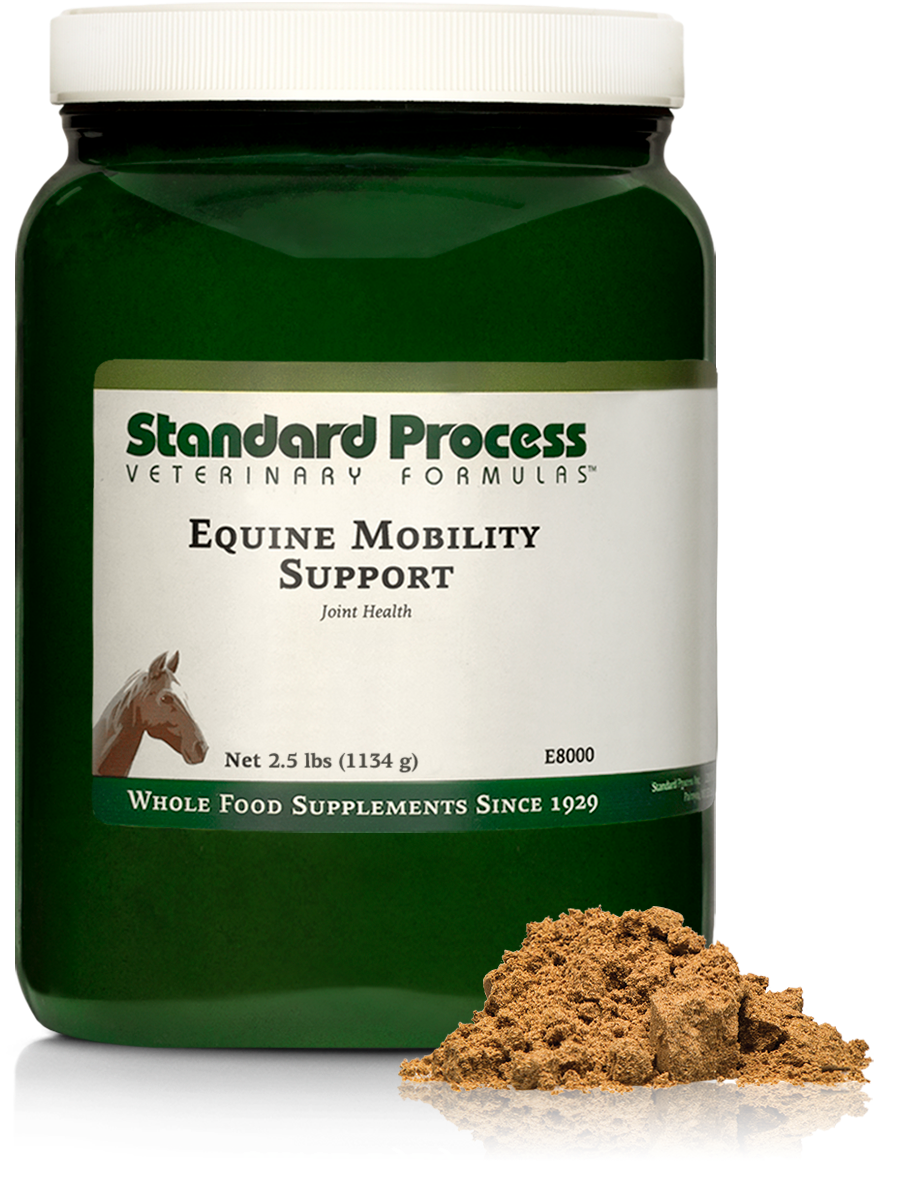 Equine Mobility Support