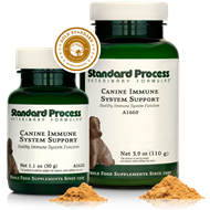 Canine Immune System Support