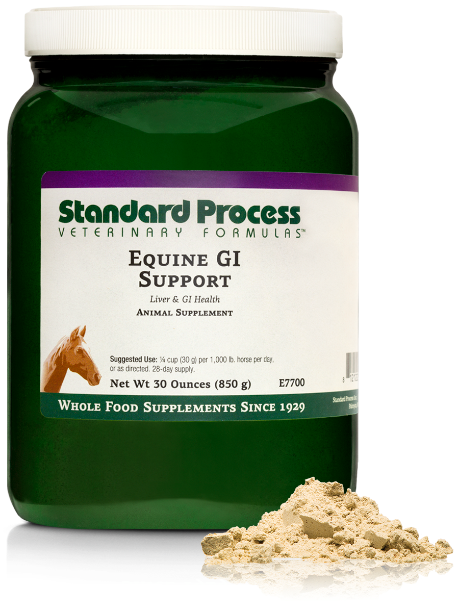 Equine GI Support
