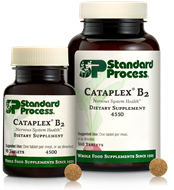 Cataplex® B2