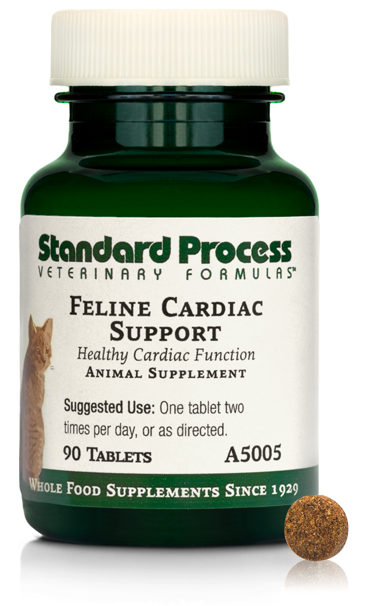 Feline Cardiac Support